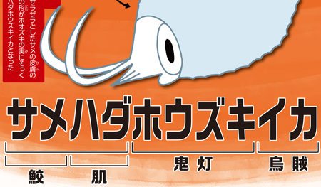 いずもり よう Pa Twitter サメハダホウズキイカの名前を見るたびに 季節がとうり すぎても という曲を思い出す どんな曲か気になった方もまずはご一読を わけあってこの名前 いきもの名前語源辞典 好評発売中です T Co J7khnfozis