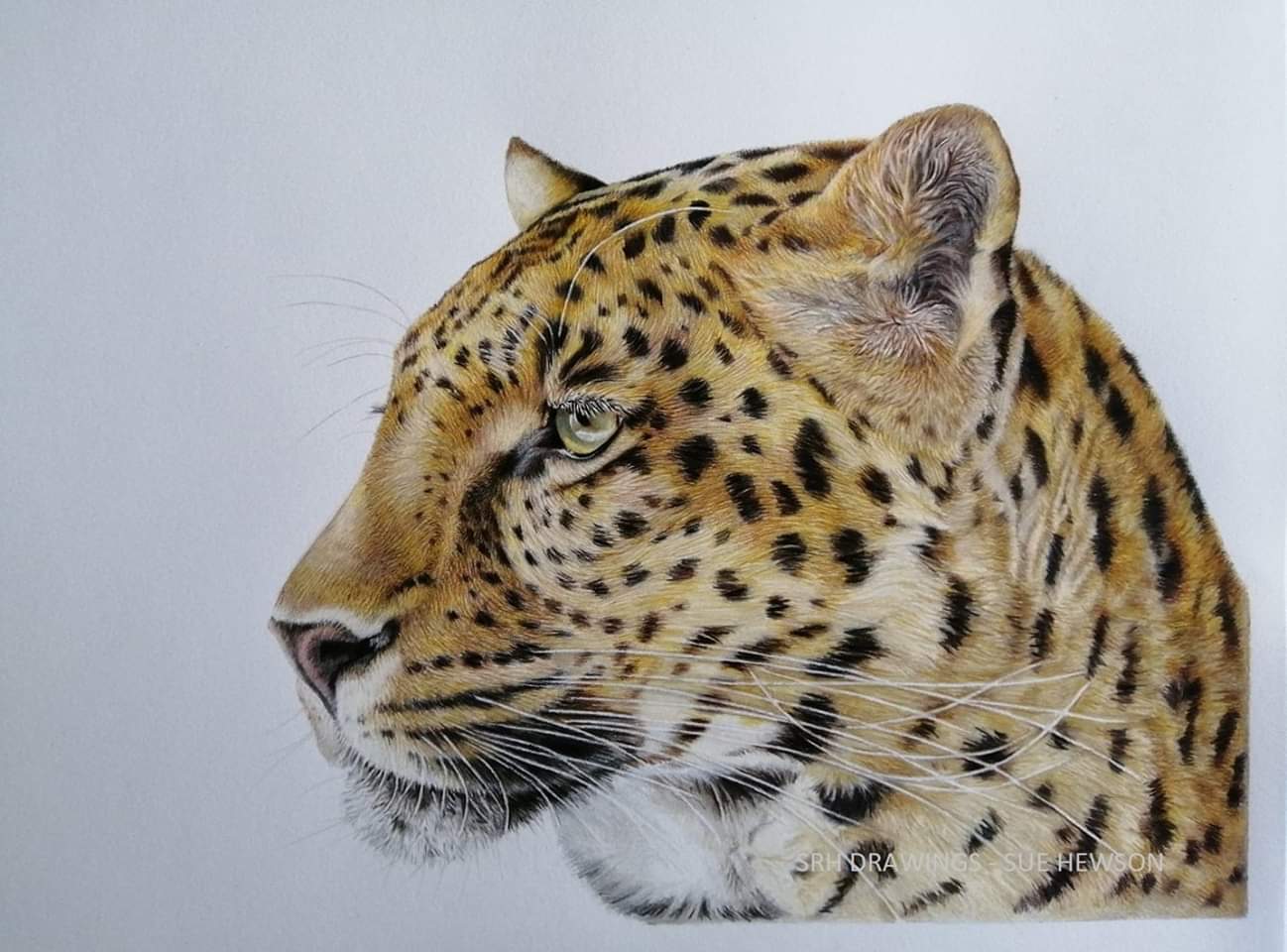 Leopard art - complete