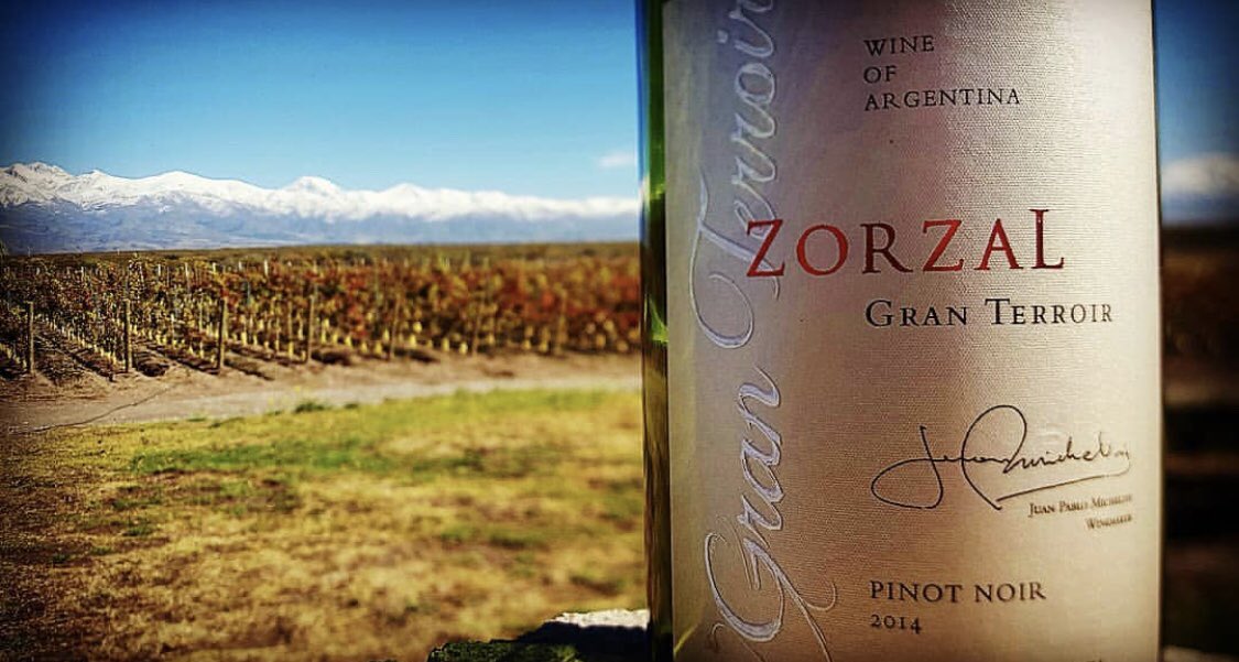 The Twelve Hotel (@thetwelvehotel) on Twitter photo We’re excited to host Juan Pablo Michelini from boutique winery <a href="/zorzalwines/">Zorzal Wines</a> in Argentina at our Wine Dinner next Wed 4th Sept. Indulge in a 4 course Menu with wine pairings, €55 per person, Overnight Package from €275 for 2. Starts at 7.30, West Restaurant. #12is12 #winelovers We’re excited to host Juan Pablo Michelini from boutique winery <a href="/zorzalwines/">Zorzal Wines</a> in Argentina at our Wine Dinner next Wed 4th Sept. Indulge in a 4 course Menu with wine pairings, €55 per person, Overnight Package from €275 for 2. Starts at 7.30, West Restaurant. #12is12 #winelovers