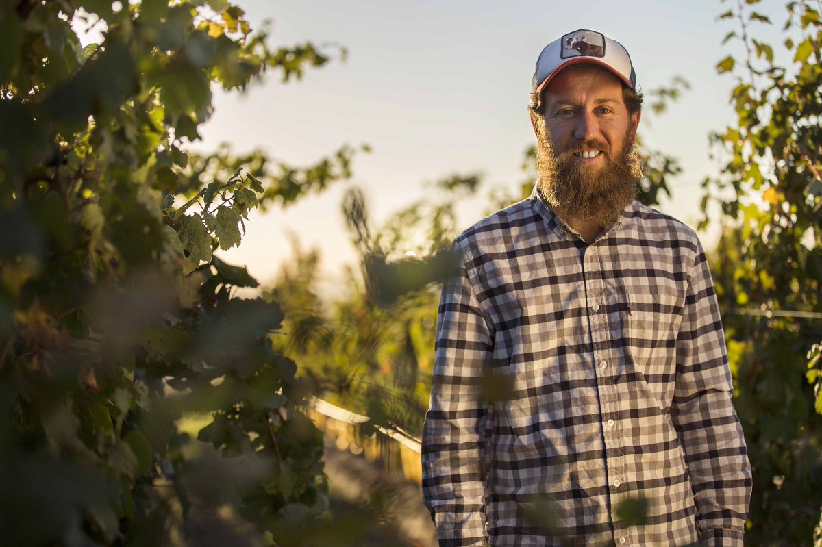thetwelvehotel's tweet photo. We’re excited to host Juan Pablo Michelini from boutique winery @zorzalwines in Argentina at our Wine Dinner next Wed 4th Sept. Indulge in a 4 course Menu with wine pairings, €55 per person, Overnight Package from €275 for 2. Starts at 7.30, West Restaurant. #12is12 #winelovers https://t.co/1WVwa0JiBu