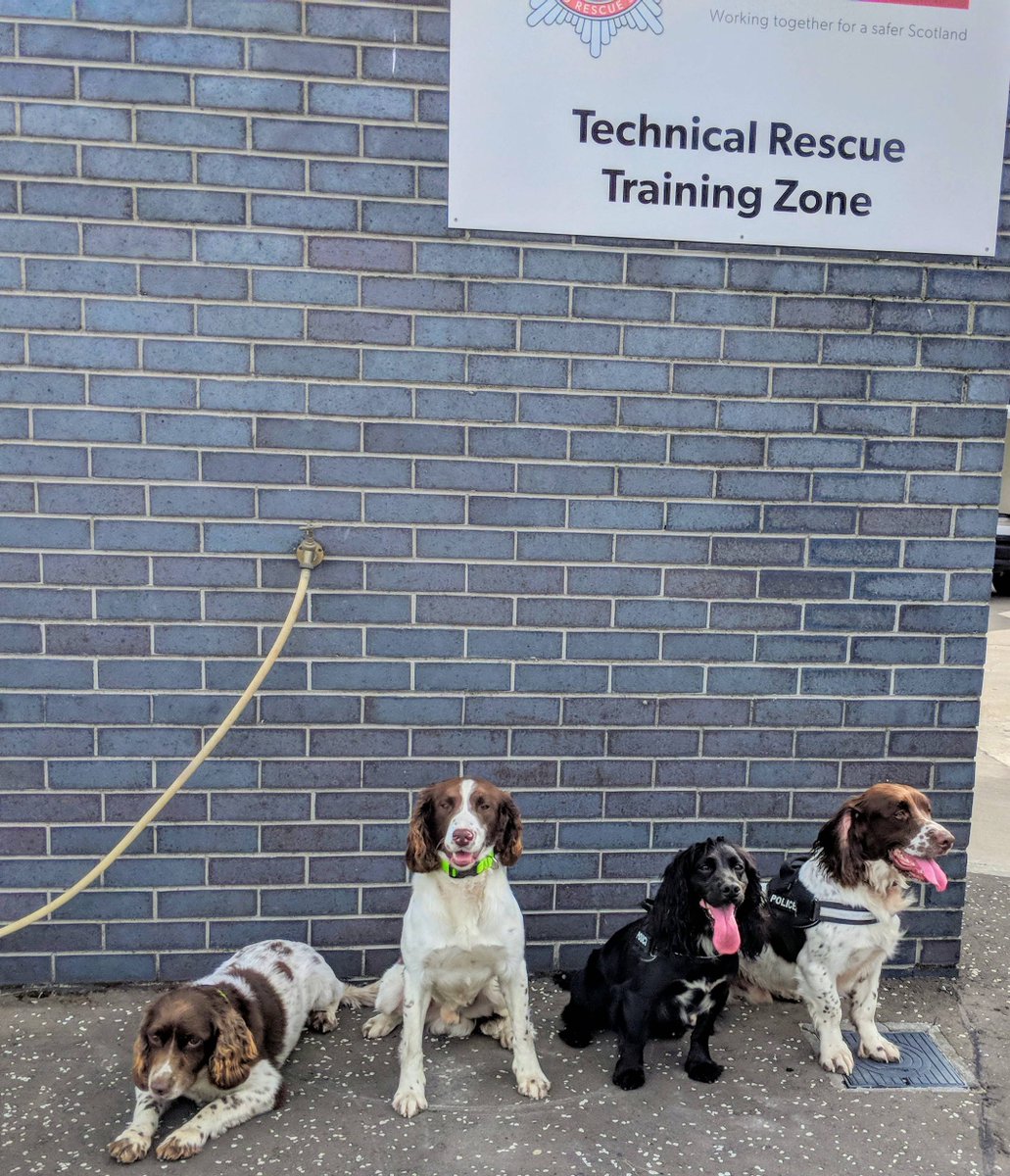 PSOSDogs's tweet image. #PDBilly &amp;amp; #PDMac got to meet the new boy on the block FD Mac from @SFRSdog 
Was lovely to catch up with FD Diesel too and of course their handler Gary
🚒🚓🐕🐾
#PartnershipWorking
#JointTraining
#EvenFireDogsNeedHeroes 😂