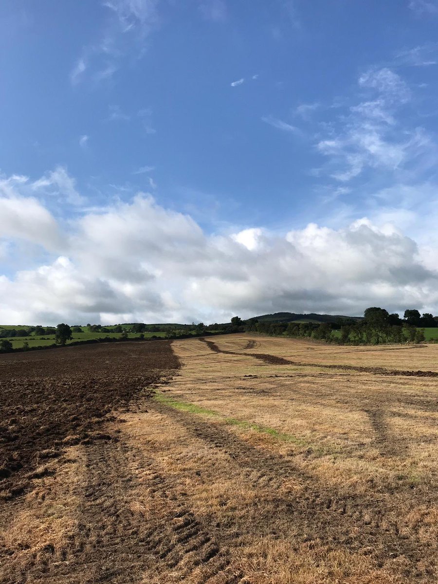 TirlanFarmLife's tweet photo. Glanbia suppliers Bernard & Daniel O’Reilly from ballinlough, Kells, Co Meath. Sowing Premium Silage Sward at a rate of 15Kgs/Acre. Method used is disking and two runs of a power Harrow then sow. #GreatGrass #MasterCrop #Reseeding @GlanbiaConnect https://t.co/OAzPbCmBZv
