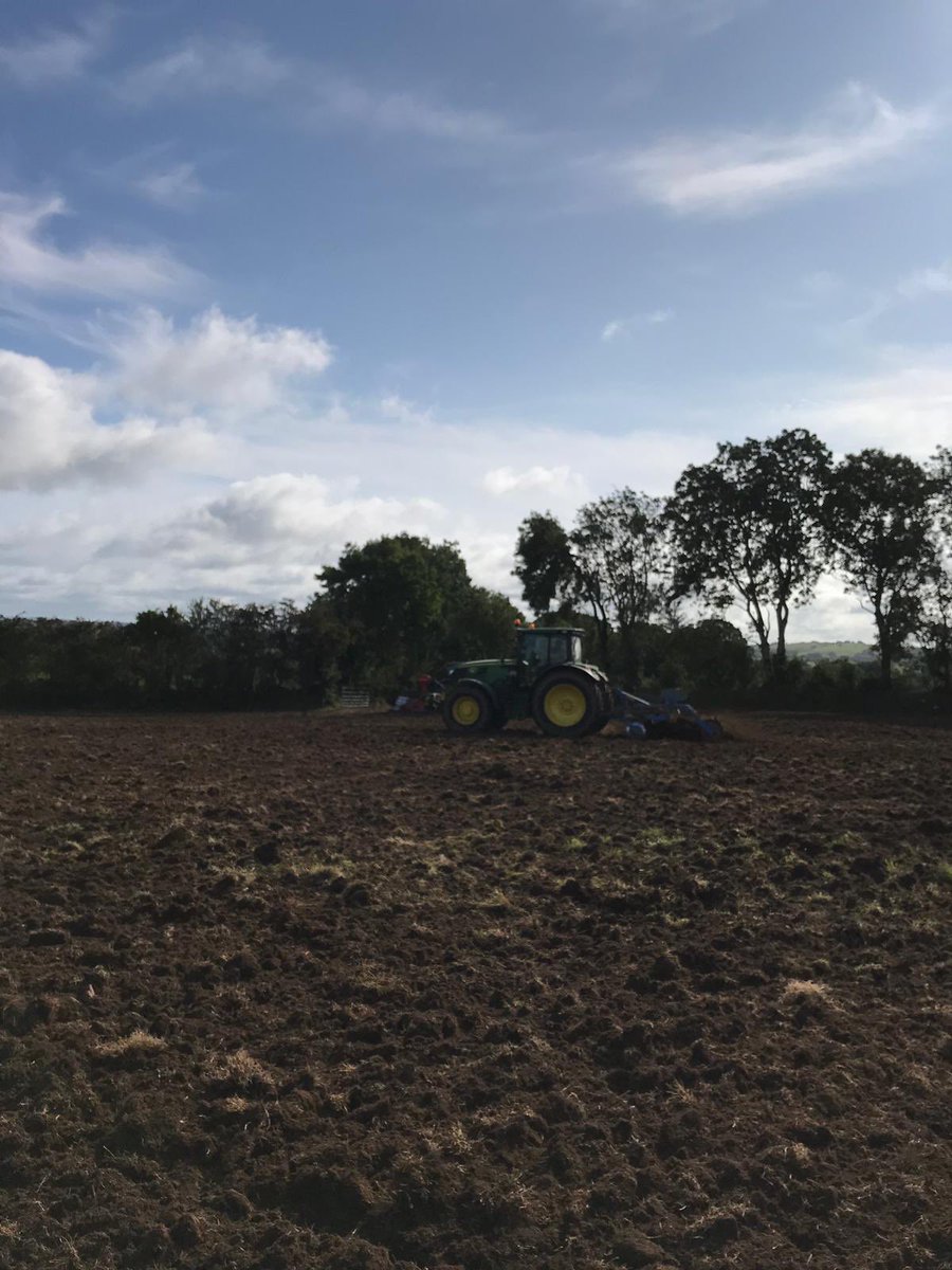 TirlanFarmLife's tweet photo. Glanbia suppliers Bernard & Daniel O’Reilly from ballinlough, Kells, Co Meath. Sowing Premium Silage Sward at a rate of 15Kgs/Acre. Method used is disking and two runs of a power Harrow then sow. #GreatGrass #MasterCrop #Reseeding @GlanbiaConnect https://t.co/OAzPbCmBZv