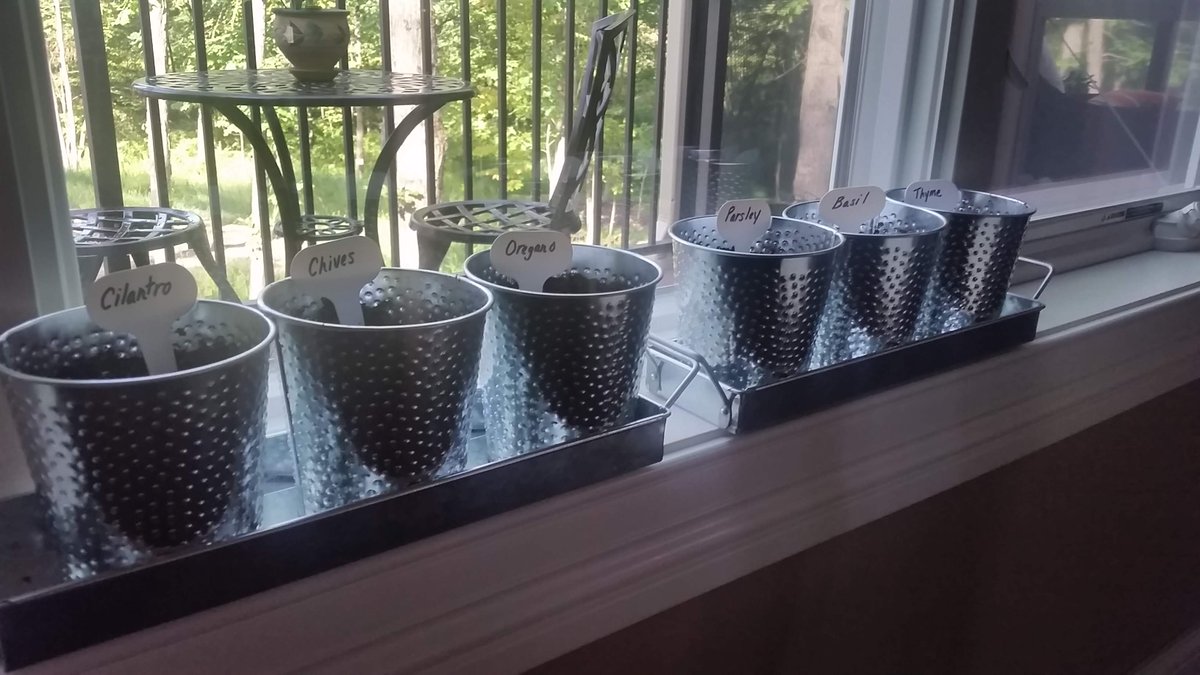 AlessaAndreadis's tweet photo. I planted my first herb garden! #ThrowbackTweetThursday #140Characters https://t.co/7fYpOLy7xl