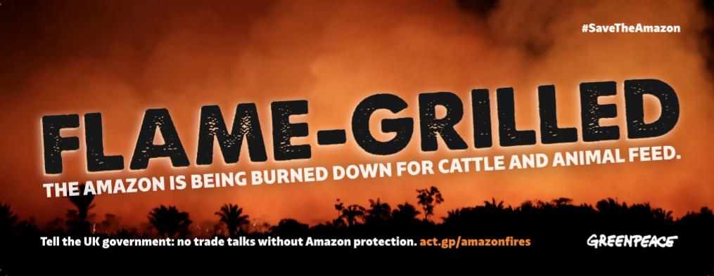 The president of Brazil wants to turn the Amazon from the lungs of the planet into the worlds largest beef, animal feed and leather emporium. 

Tell the UK govt to suspend trade talks with Brazil until they can protect the Amazon and its people >>  act.gp/2ZBBsEl