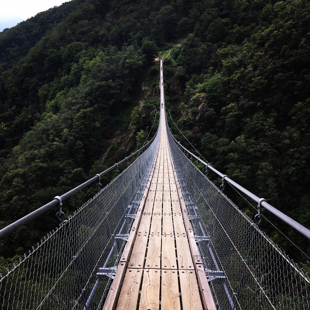 LillasimLisa's tweet photo. Ponte Tibetano??
Fatto!!
Emozionantissimo..🥰
#carasc
#pontetibetano
#bellinzona
#montecarasso https://t.co/0PfOYHg63f