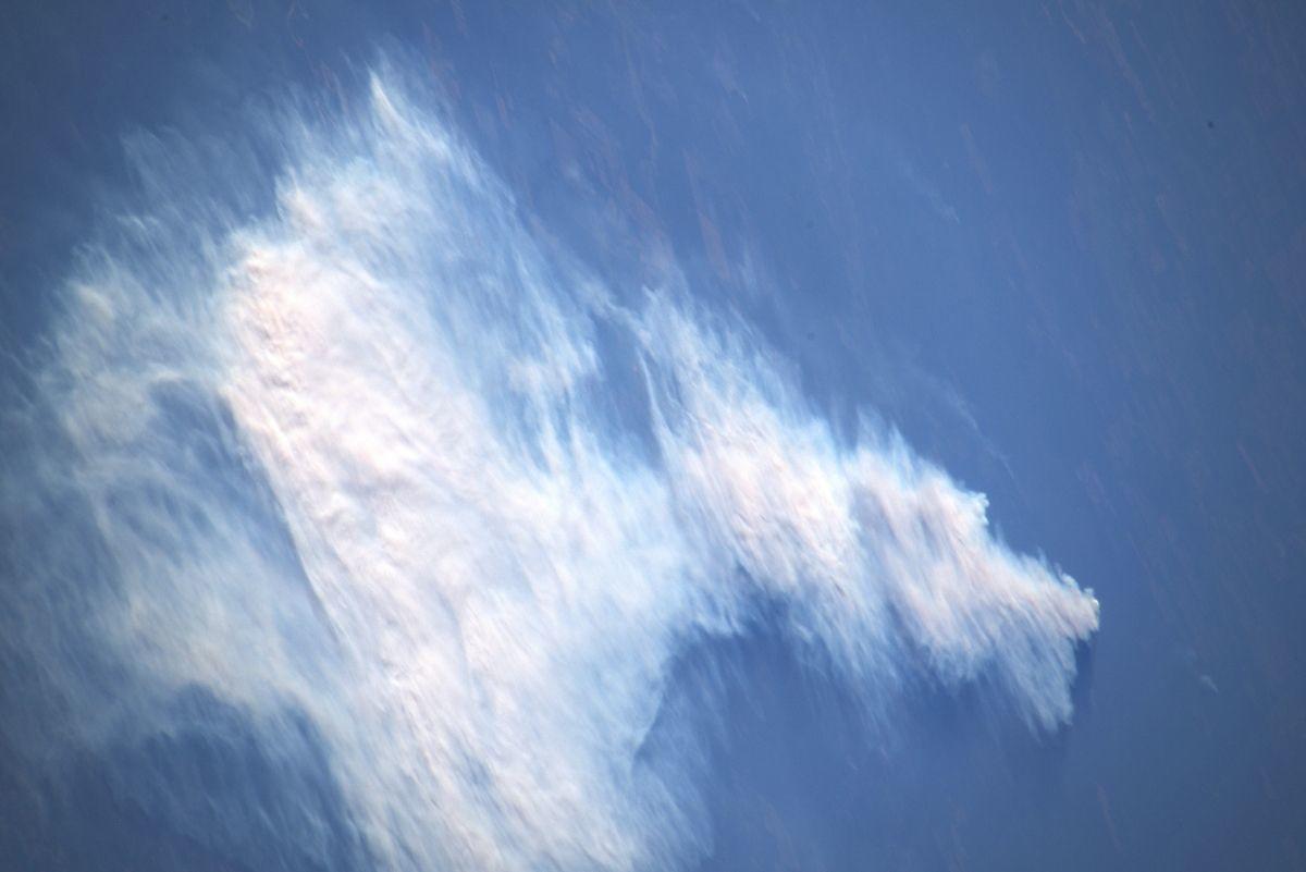 La foresta continua a bruciare. 
The forest continues to burn. #Amazonfires #MissionBeyond