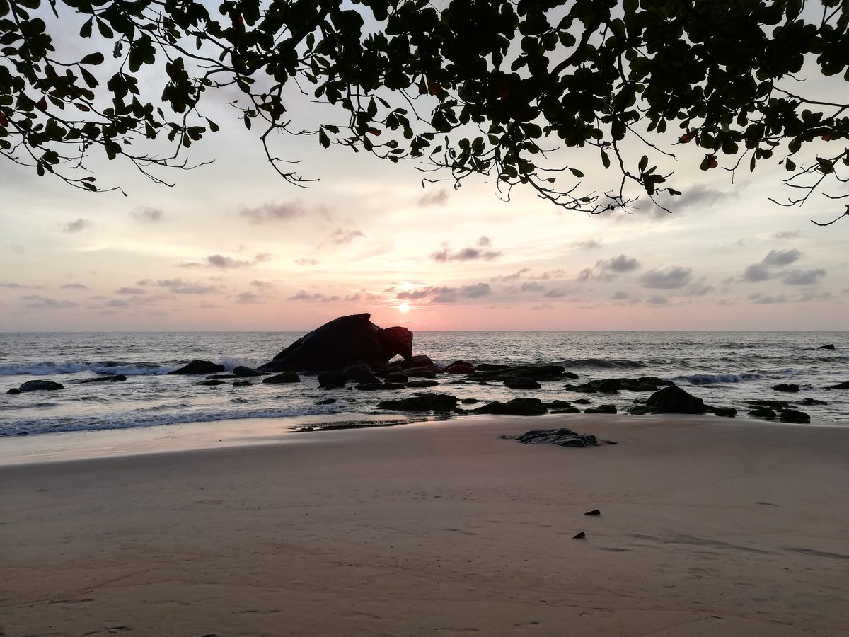 fritz_pt's tweet photo. Ebodjé - Cameroun, beauté de la Côte Atlantique... https://t.co/hHgqOeUWyA