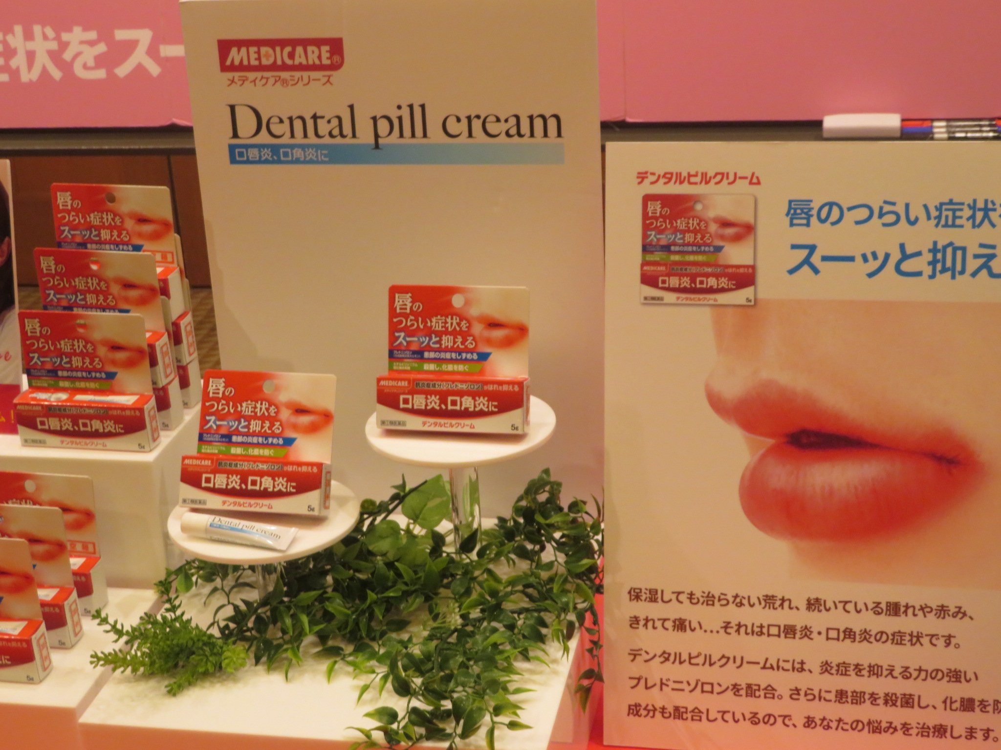 なさみ Rsp72 サンプル百貨店 森下仁丹 デンタルピルクリーム 唇ケア関連商品 口唇炎や口角炎などによる 唇のはれ の早期治療を手助けします 冬場の乾燥した季節 気がつくと口の端が切れたり唇のしたが腫れていたりすることがあるのでストックし
