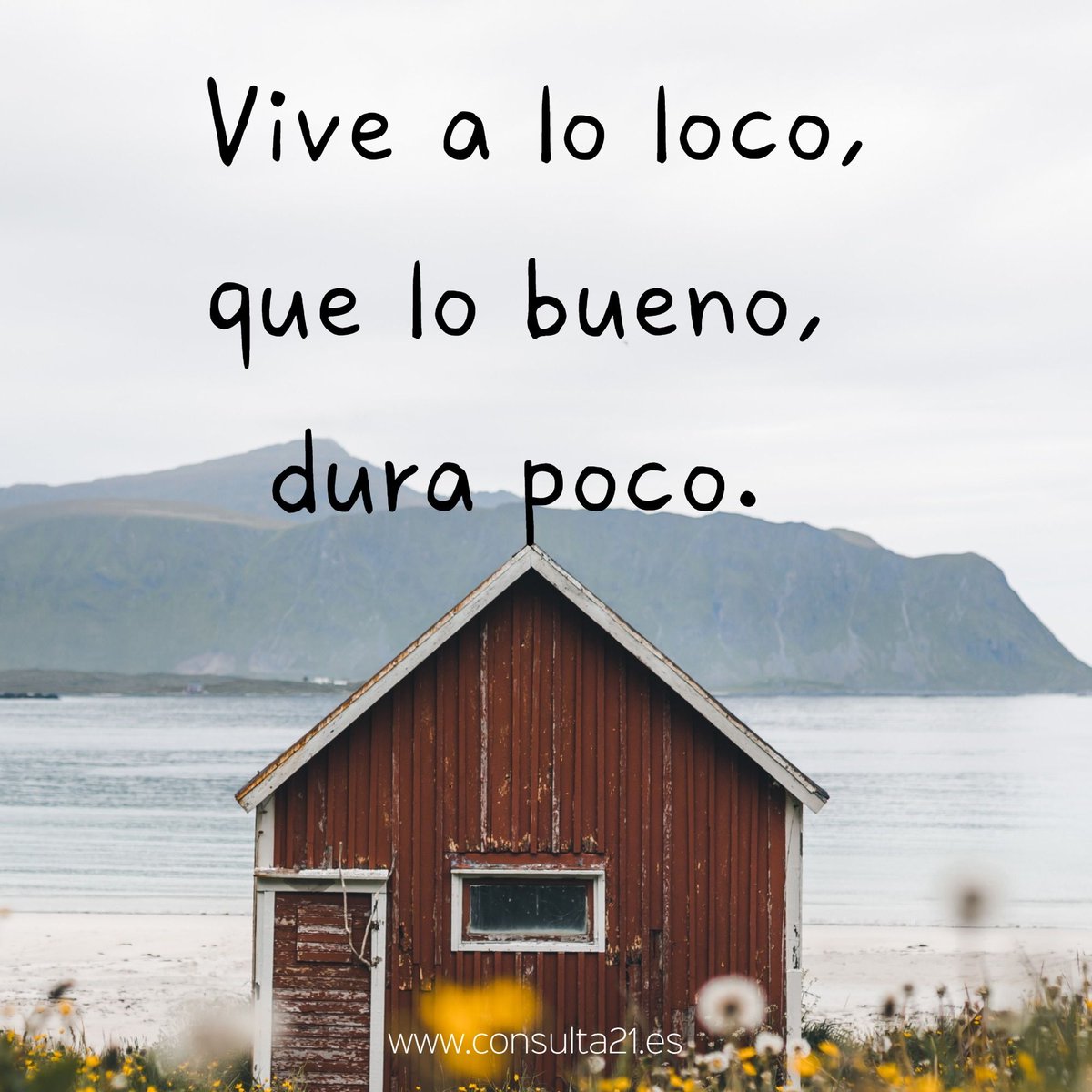 Consulta_21's tweet photo. Vive a lo loco, 🌀
que lo bueno, 👌
dura poco. 🤷
#Vive #Disfruta #NoTeOlvidesDeTi #EresFuerte https://t.co/1WKEaEPdrX