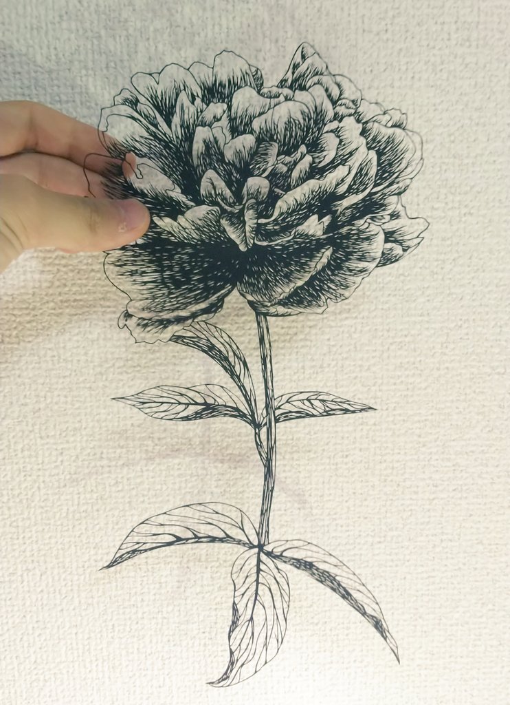 松村大地 Twitterissa 新作です 芍薬の花を切りました 相変わらず紙一枚をデザインナイフ一本で切っています 切り絵 自在展弐 松村大地 Twitterissa 新作です 芍薬の花を切りました 相変わらず紙一枚をデザインナイフ一本で切っています 切り絵 自在展弐