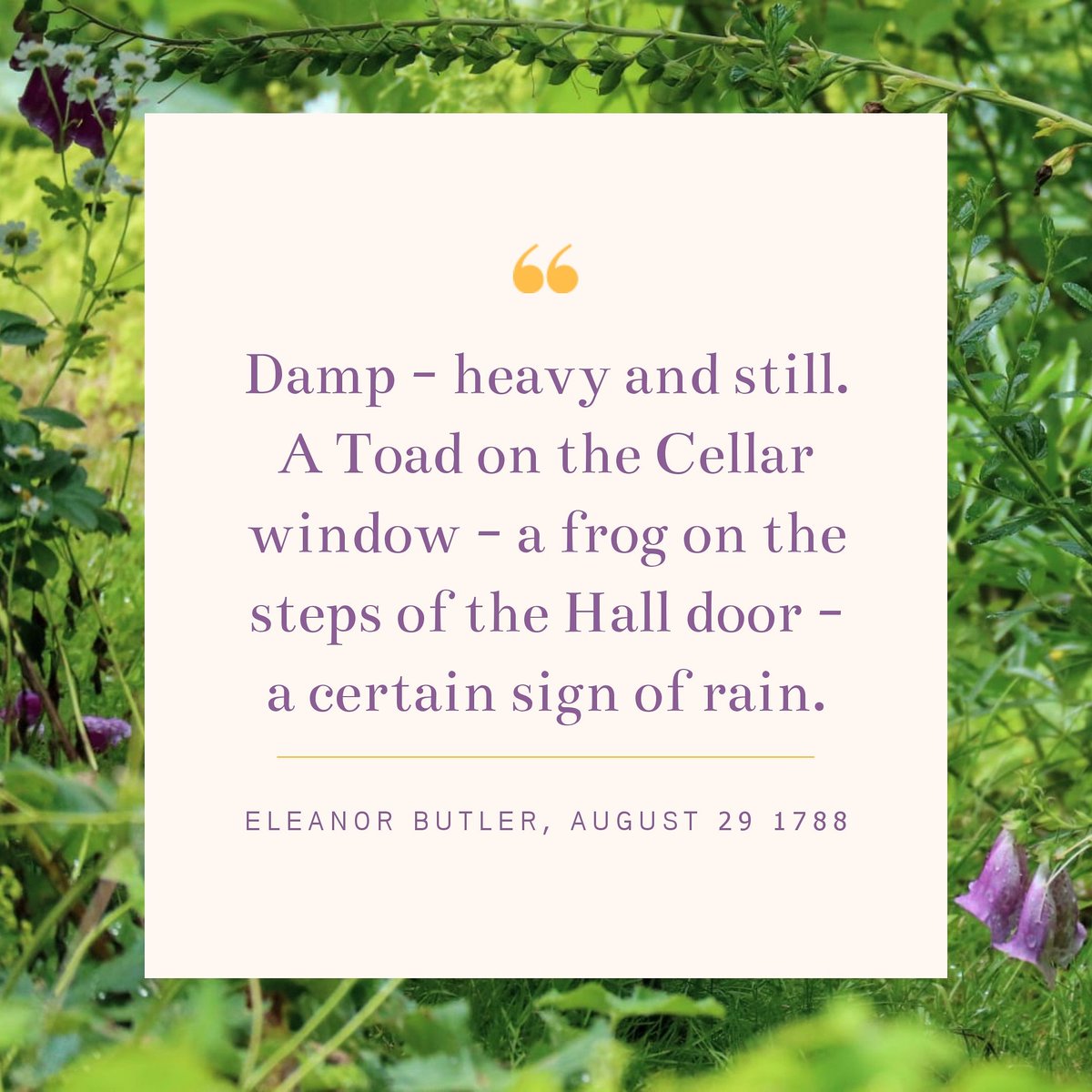 A day in the life of the Ladies. 
Journal entry from Eleanor Butler, Friday 29 August 1788.
 ~
Diwrnod ym mywyd y Merched. 
Cofnod o ddyddlyfr Eleanor Butler, Dydd Gwener 29 Awst 1788.