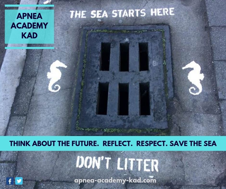 KidsAsDolphins's tweet photo. 🇮🇹 Aiuta i bimbi ad aver cura del mare e dell'ambiente 💙
🇬🇧 Help kids to take care of the sea and the environment

#savethesea
#dontlitter
#mare #sea
#KidsAsDolphins
#bambini #kids https://t.co/askw1W7wc6