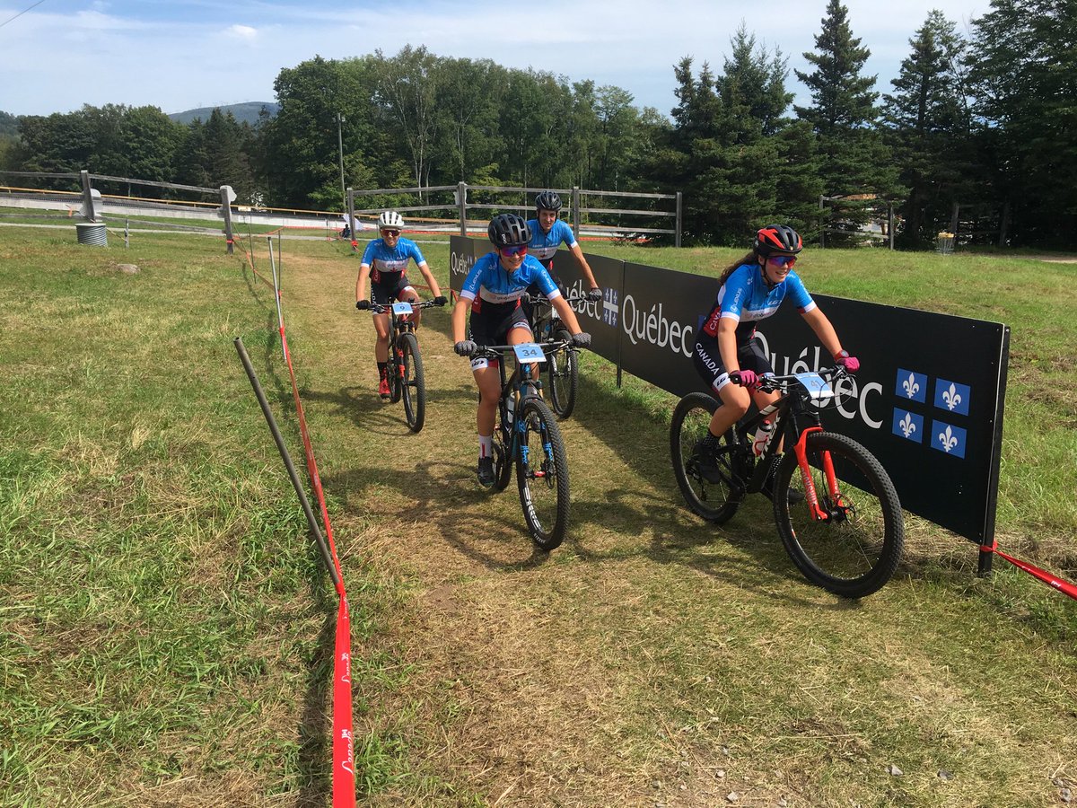 pedalhead bicycle works