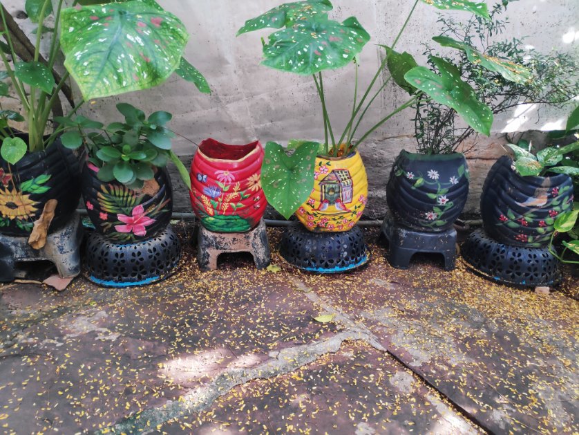 @arpita_dg @ParveenKaswan @crowngaurav Yeah great idea am already recycling water bottles as hand painted  planters here 
#NoPlasticChallenge
#noplastic 
#Recycle