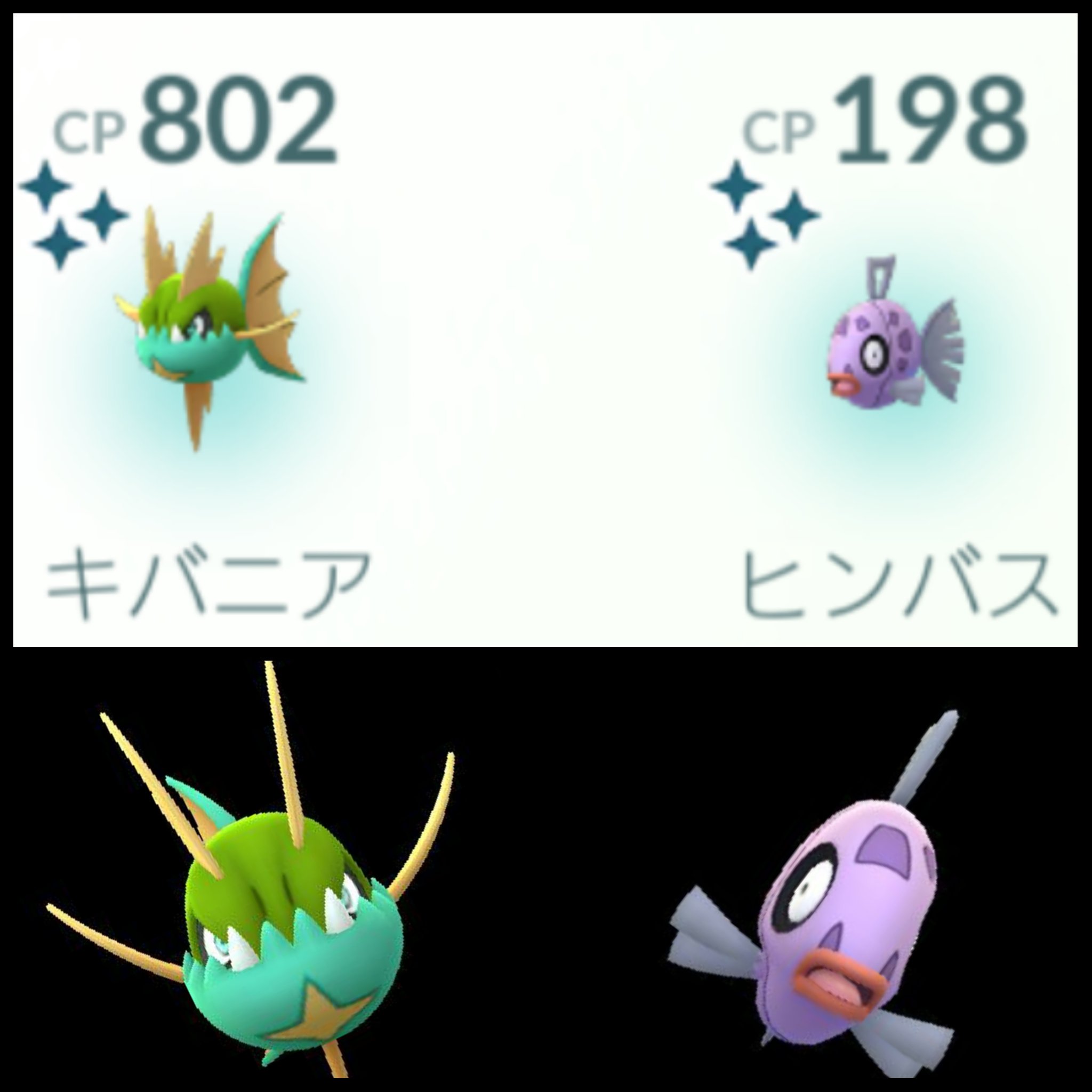 ギバニア Twitter Search Twitter
