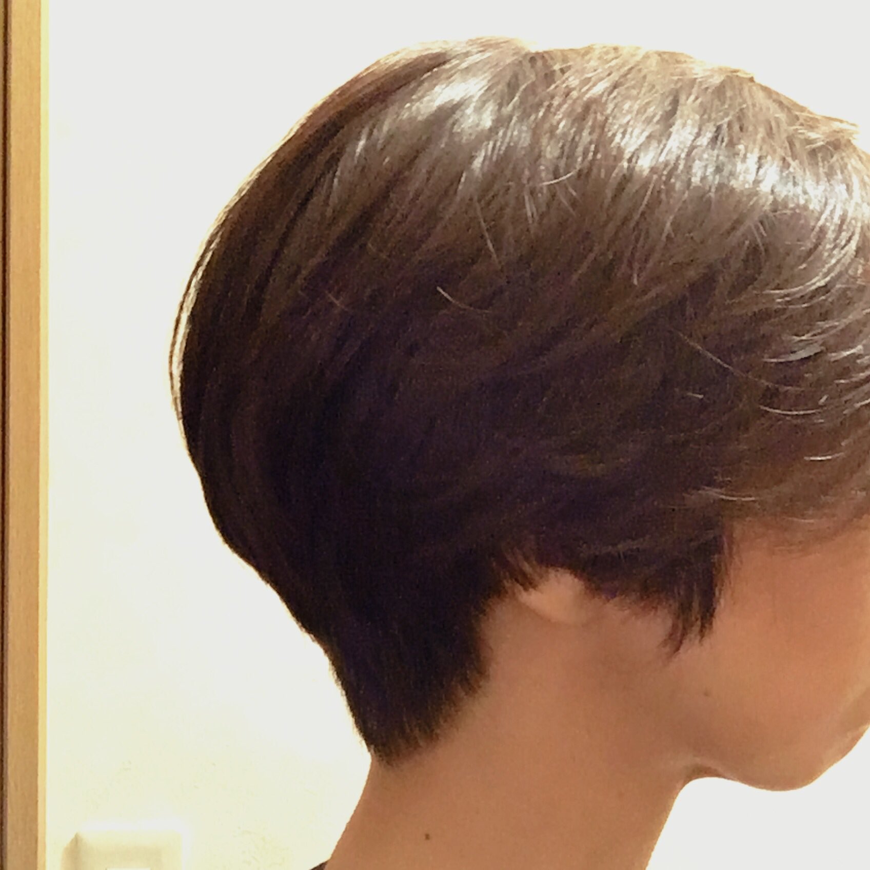 サカキュ Twitter पर 2ヶ月ぶりくらいに美容院へ またバッサリカット よくいろんな人から 後ろ髪 のボリュームを褒められるけど 今回も安定の後ろ髪 ちなみに頭の形は絶壁なので 友人 美容師 の技術に感謝 T Co Hv5cd12l6p Twitter