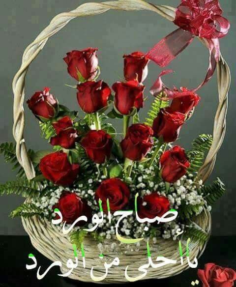 Gamalgmal11 tweet picture