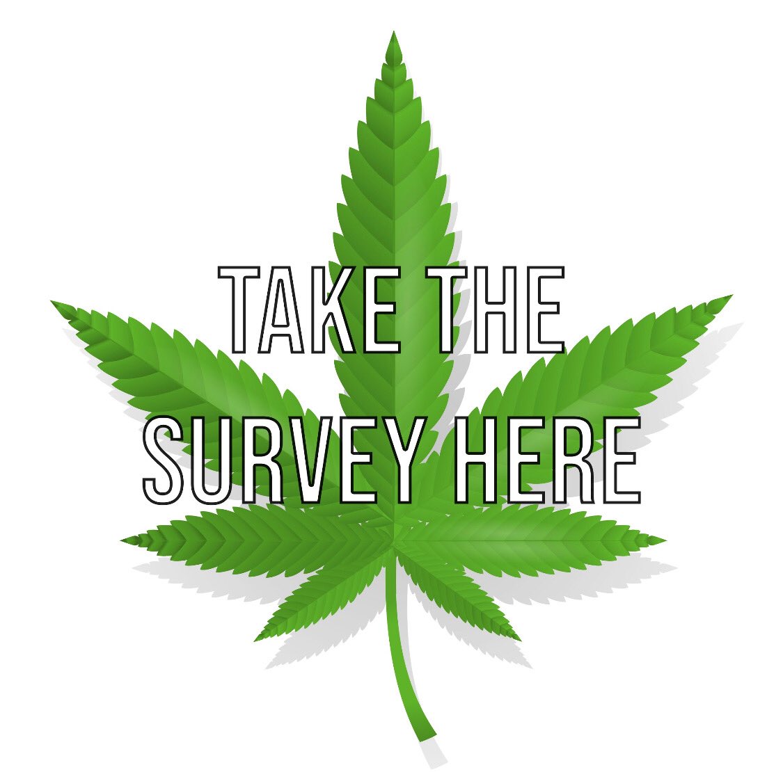 Join > 500 people who have got the ball rolling on the the UK’s biggest #cannabis survey at globaldrugsurvey.com/cannabis. Not bad for the first 3 hours. 🙏😊👌everyone ⁦<a href="/DavidLammy/">David Lammy</a>⁩ ⁦<a href="/ReleaseDrugs/">Release Drugs</a>⁩ ⁦<a href="/TransformDrugs/">Transform Drug Policy Foundation</a>⁩ ⁦<a href="/DrugWiseUK/">DrugWise</a>⁩ ⁦<a href="/UKCannabisClubs/">UK Cannabis Social C</a>⁩