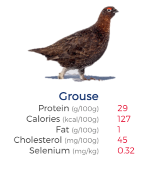 LetsEatWild's tweet photo. Just some of the nutritional values of #grouse. Integrating more of it into your #mealplan could help you reach your #fitnessgoals sooner.

#letseatwild https://t.co/1z9B2fGJBw