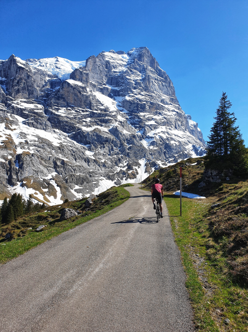 MorganStanley's tweet photo. In just two weeks, 300 of our colleagues from across the globe will cycle from #LondontoParis in 24 hours! They’re raising awareness and funds for important causes, including @TeenageCancer @SAMHtweets and @LENVOLAsso. #MSGivesBack https://t.co/s2kbKmvmIy