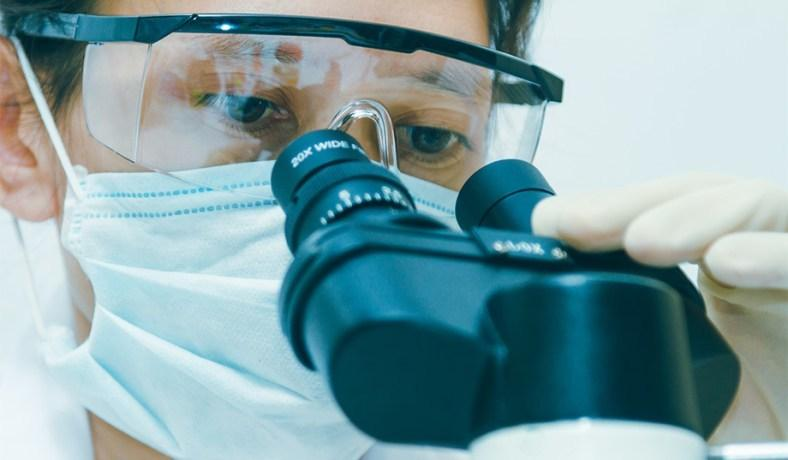 kosheeka's tweet photo. Primary #cells have been emphasized to be playing a crucial role in order to facilitate high throughput testing of different #drugs, and have been noted as a cheaper #alternative for pre-screening drug analysis directly on humans or animals.
#Stemcells #Kosheeka #Stemcellbank https://t.co/PqoJoBnZuv