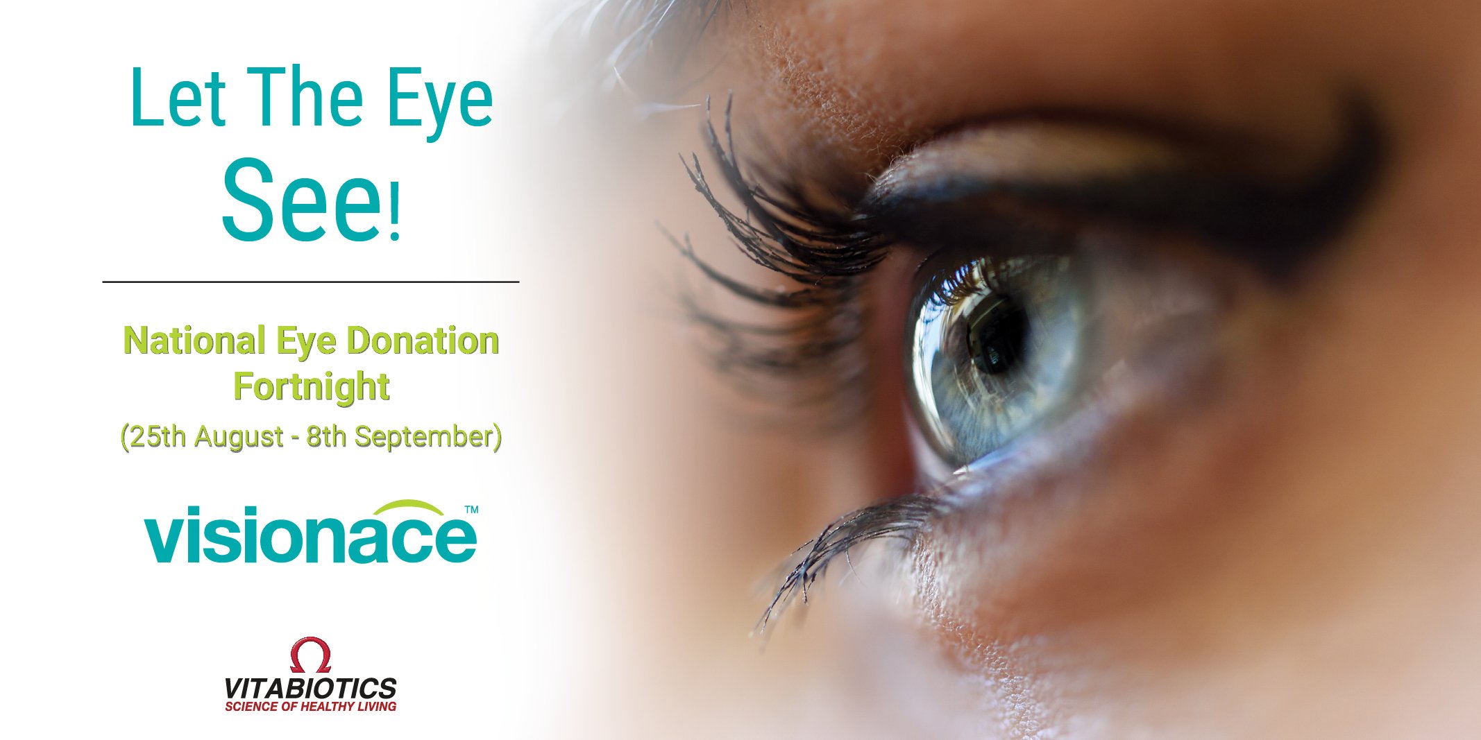 Visionace Twitter Search Twitter