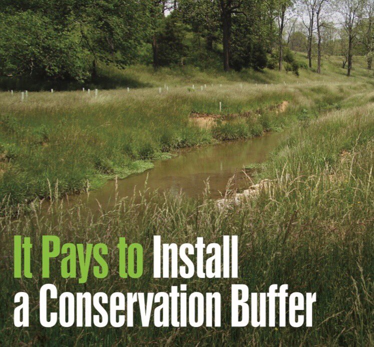 VirginiaDCR's tweet photo. Here’s the low-down on Virginia’s cost-share for conservation buffers: https://t.co/N096wqfgxa #VaAgriculture #AgBMPs #ChesapeakeBay https://t.co/OtUhNANYxq