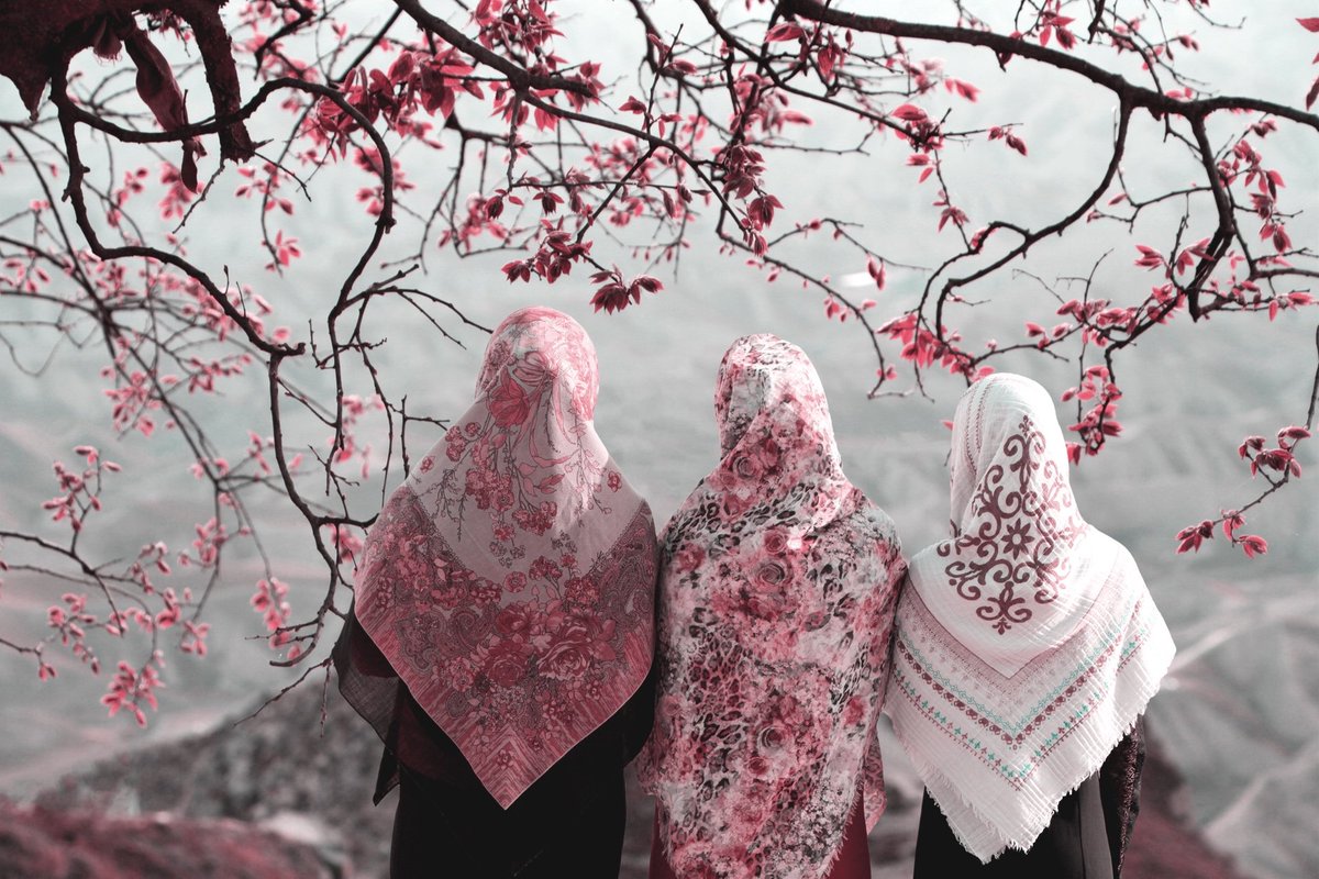 LucyWriters's tweet photo. **CALL OUT FOR POETRY** Our Poetry Editor, Usha Akella, is looking for poetry submissions on the theme of 'Flora & Fauna of Foreign & Familiar Places'. Send us your poesies, prose poems, romances of the rose before the 30th Sept. Details here: https://t.co/whS6qvLfiF Pls.RT 🌻🌺 https://t.co/kzTn9jWiDl