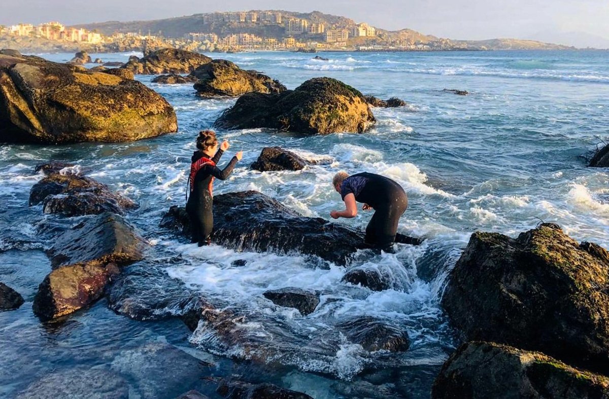 GEOMAR_de's tweet photo. Wozu Abril und Jonas vom Studien- und Forschungsprogramm #GAMEProgrammeGeomar 200 PET Flaschen in #Chile brauchen und was genau das mit #Muscheln zu tun hat, könnt ihr in diesem neuen #Blogbeitrag nachlesen.
https://t.co/zrjjnTHeKR https://t.co/M1kCAljXvE