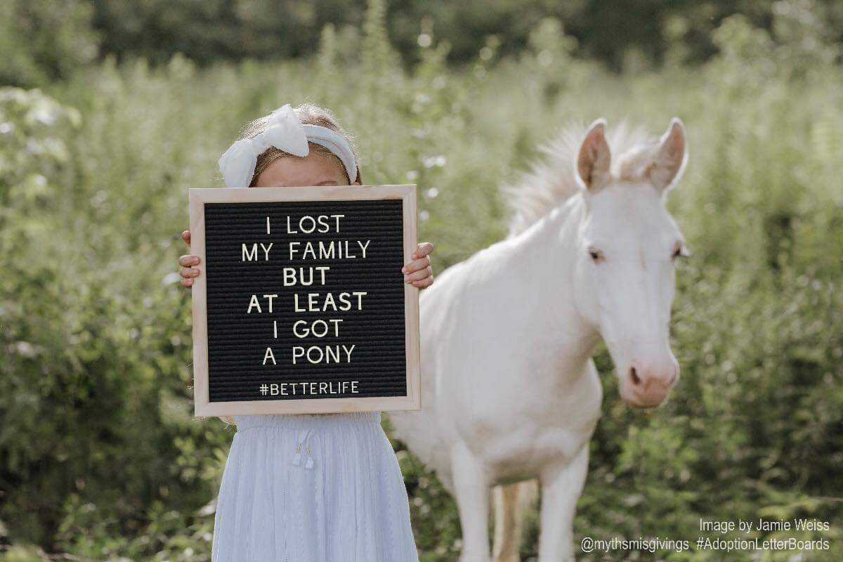MythsMisgivings's tweet photo. It is all about the pony, as you know. #adopteevoices #adopteeletterboards #adoption #AdopteeAutonomy https://t.co/FdPRMhMbHh