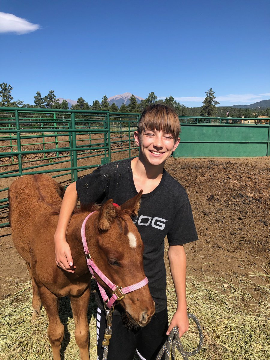FredEichler's tweet photo. Trent has been working on halter breaking his colt, Chance.
#everythingeichler #halterbreaking #ranchlife #builtforthewild #leupoldcore #boghunt #yourworkingpartner #horses https://t.co/8XyFaSZV31
