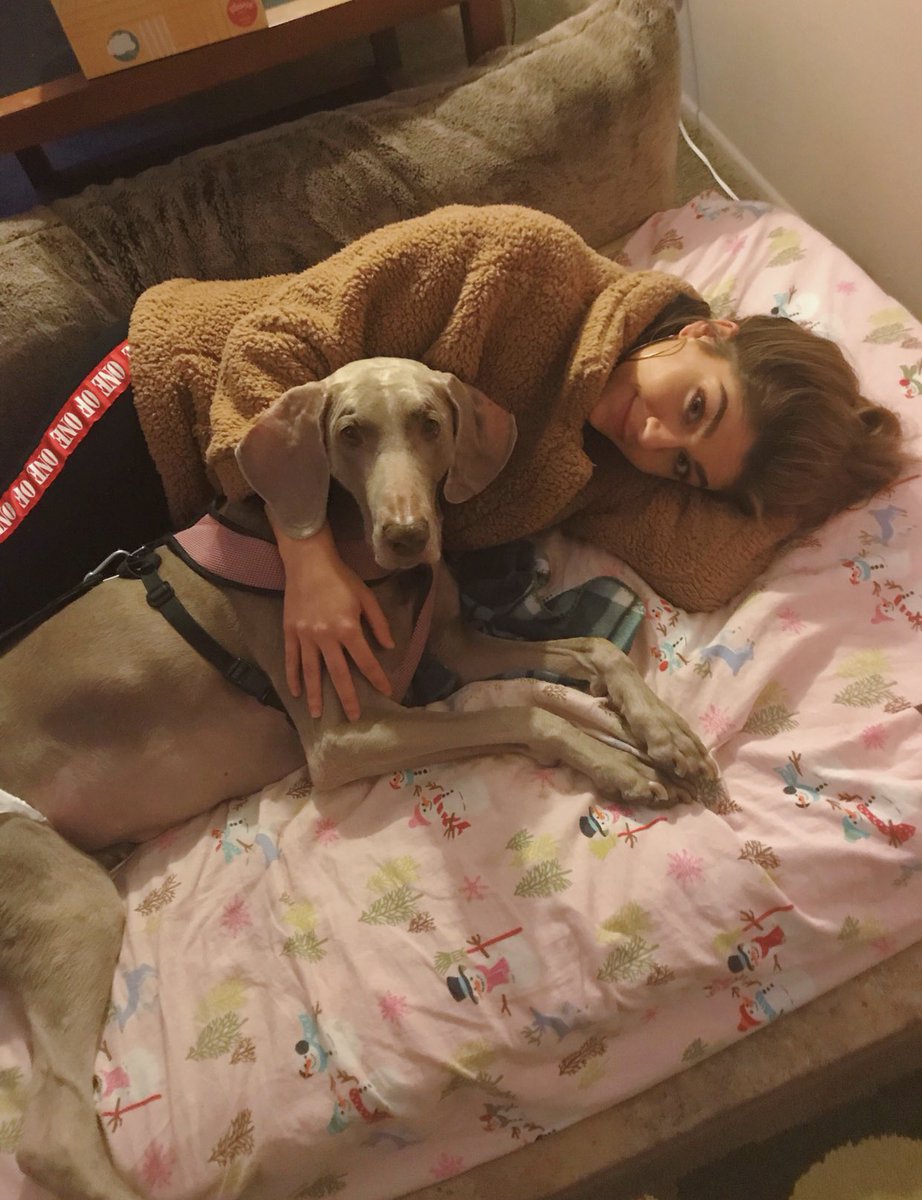lacey unexpectedly passed away this morning. i know her and smokey are running around in puppy heaven together. but ow. my heart really hurts. :(