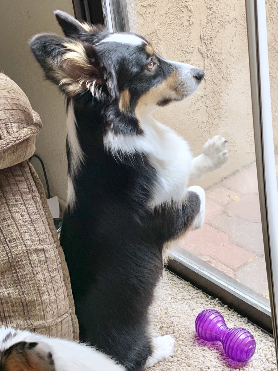 When will my husband return from war