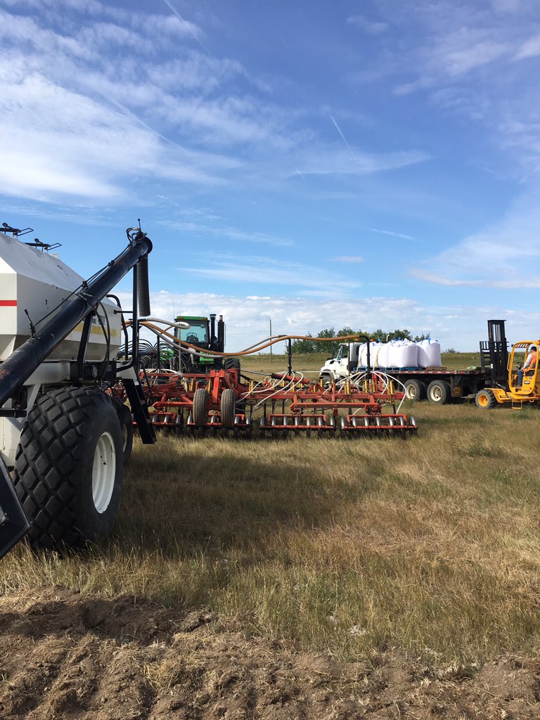 Julia Vold tweet media