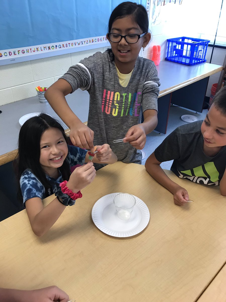 FESElliott's tweet photo. We saved Fred! The kiddos loved working and collaborating together to get Fred back in his lifejacket and in his boat 🛶🐛 @FlorisSchool #florisrules https://t.co/qBByE3WGAJ