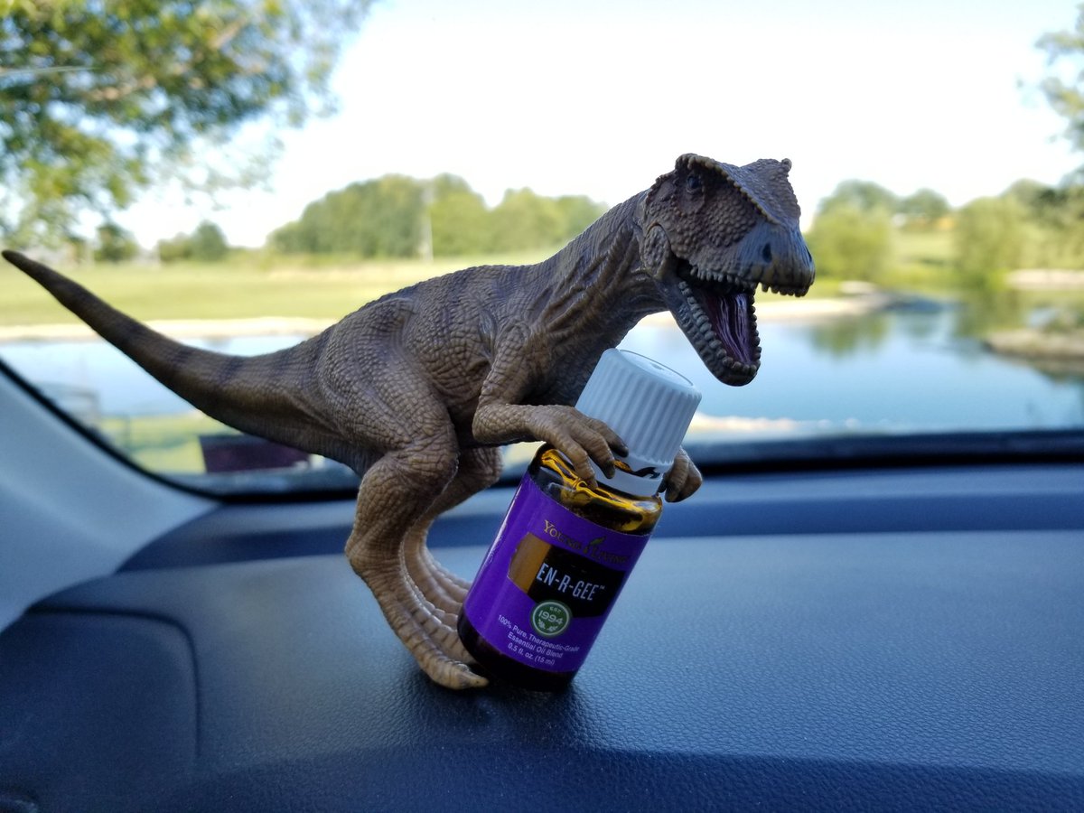 OlafsDad321's tweet photo. Getting ready for the 12-hour trip home for Labor Day weekend. I've got my traveling buddy 🦖, and my @youngliving En-R-Gee essential oil blend. Let's do this! 🚘🛣
#YoungLiving #essentialoils #EnRGee #roadtrip #travel #LaborDay https://t.co/AkwMahg6Yt