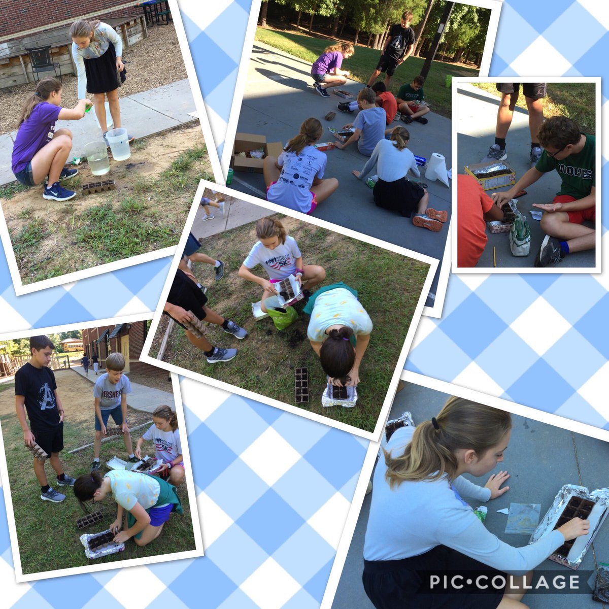 7th grade French students planted their seeds today! They researched and decided on control and experiment conditions for their French herbs.  We will make notes on the growth in French and hopefully make French recipes using our future garden!     <a href="/woodscharter/">Woods Charter</a> <a href="/WoodsSperry/">Cindy Sperry</a>