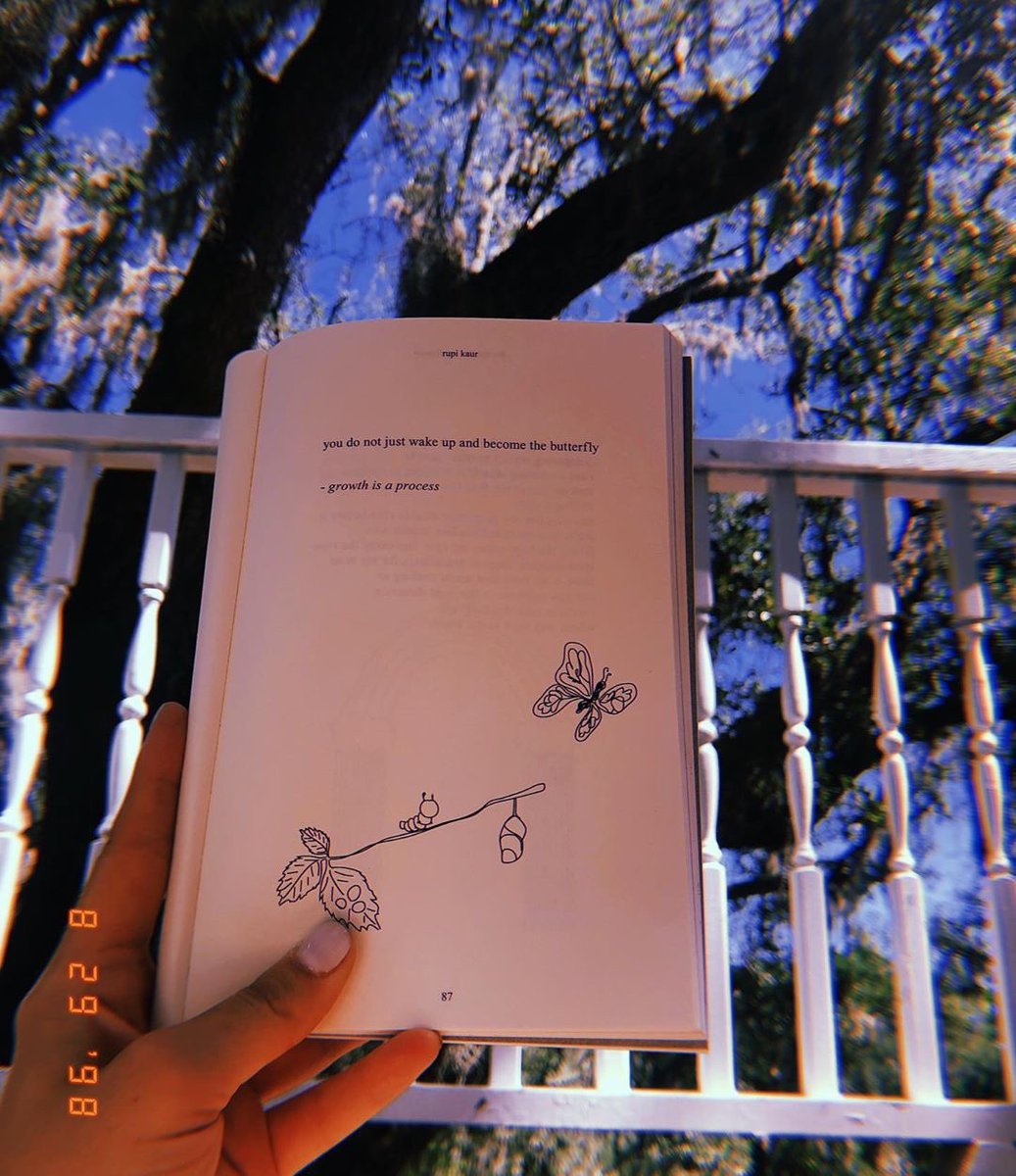 KelseaBallerini's tweet photo. 🐛🦋💕 https://t.co/5OIetlI3ZG