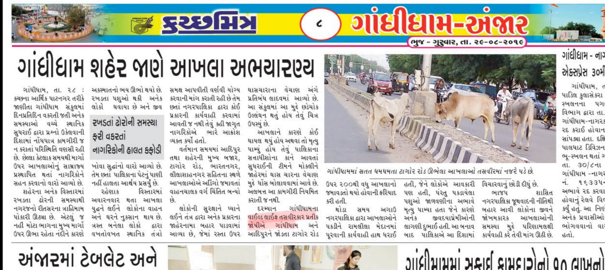 pratikjoshi84's tweet photo. Why Gandhidham city called Bulls Town???? Is authority blind? Or doesn't care life of people of Kutch? 

R v secure??? 

@BJP4Gandhidham 
@racgandhidham 
@Rtn_Gandhidham 
@LC_Gandhidham 
@CollectorKutch 
@maltibenbjp 
@neemabenacharya
@KutchMitraBhuj 
@narendramodi
@ https://t.co/V7ySQo3Ljm