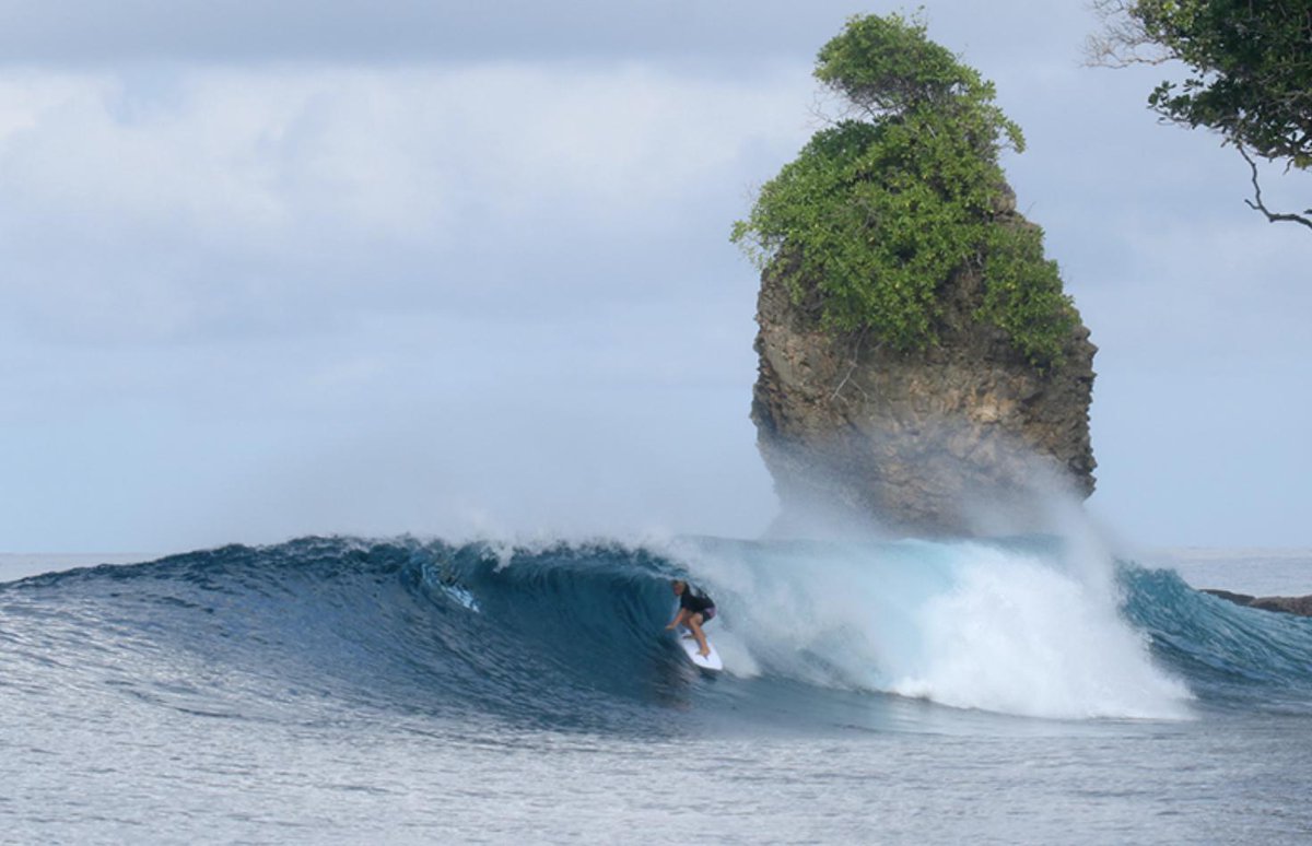 RealSaltLife's tweet photo. We are excited to announce that Salt Life Team Members Colin, Kai, and Dax McPhillips have joined Lost Surfboards!   🏄🏻‍♂️
#TeamSaltLife #Surf #Surfing https://t.co/auvbkcr0zB