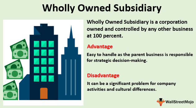 Dheeraj on Twitter: "Wholly Owned Subsidiary (Definition, Examples) |  Beginner's Guide https://t.co/XbP38uzKjs #WhollyOwnedSubsidiary  https://t.co/mVQLXJ1lvq" / Twitter
