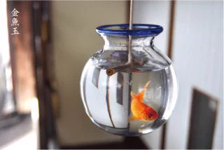 風鈴のように金魚鉢をつるしている「金魚玉」を知っていますか？