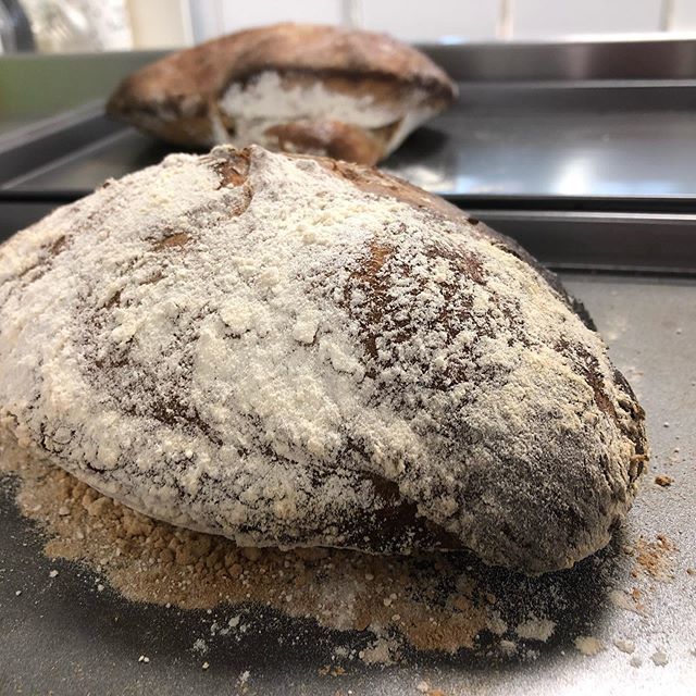 So we’ve been working on a little joint project with @mdmbrewery to make bread with left over pale ale beer yeast! 
We’re pretty impressed with our first attempt to say the least! 
Come and a have a nosey as it if you’re coming along to the @marketsmatte… ift.tt/32e6i3D
