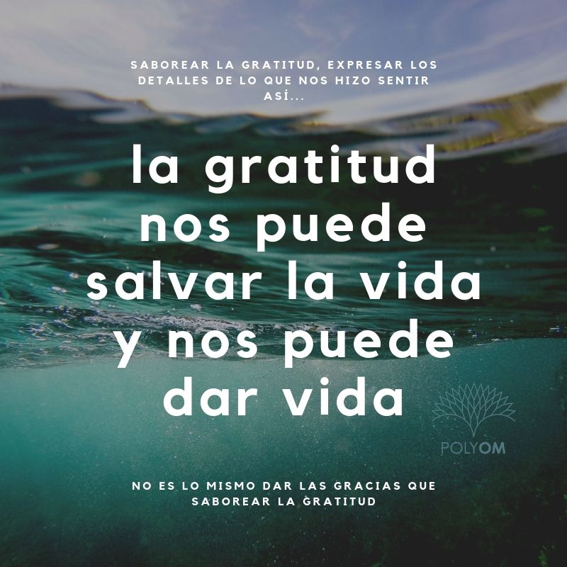 PolyOM's tweet photo. There are moments in life that our spirit is hurt and almost dead alive... Gratitude itself it is life saving and life giving. 

For those moments of loneliness and dispare or when you have experienced such failure.

#Gratitude is not the same as #thankfulness https://t.co/y6T9AhL4Kt