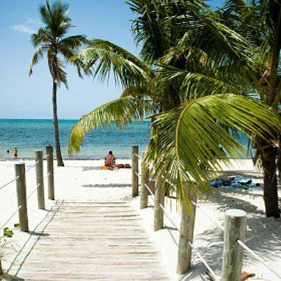 BestWesternKW's tweet photo. It never gets old! #blueskies #palmtrees #KeyWestStateOfMind #KeyWestMode #keywestvibe #goodvibes #keywest https://t.co/wj9y0FD0vO