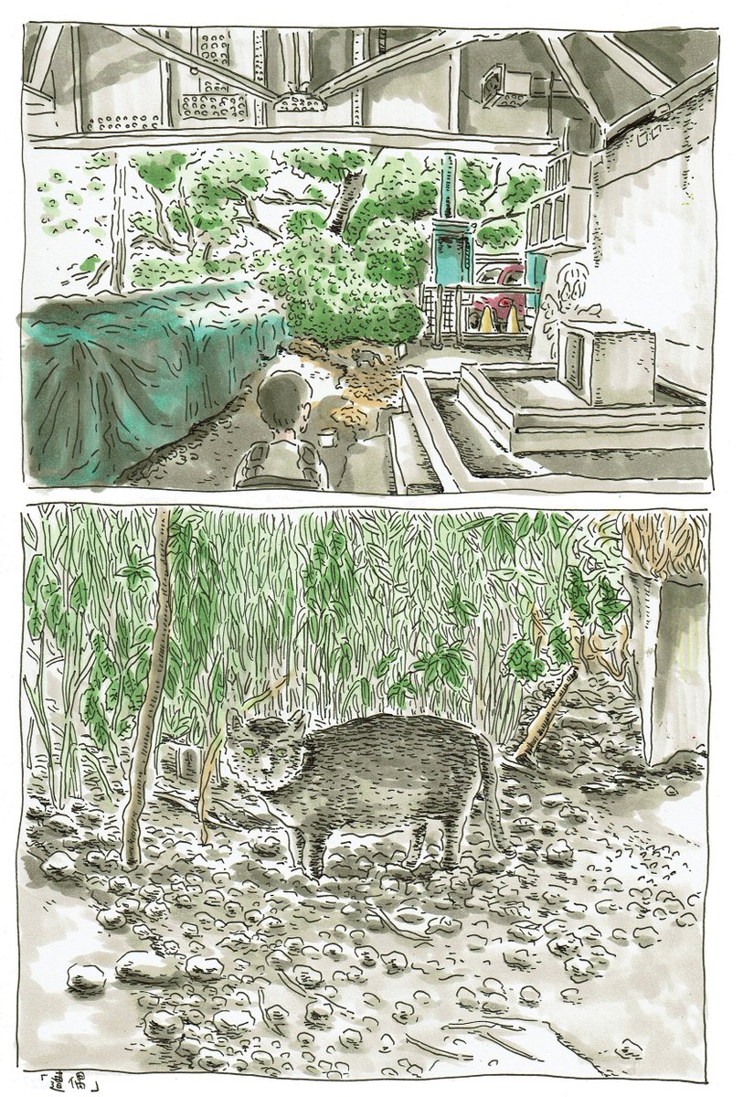 遭遇 
