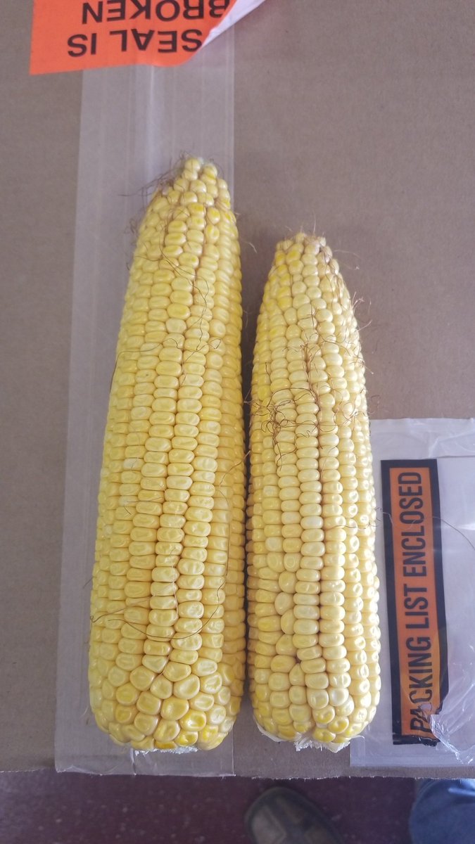Jaredbinmanang1's tweet photo. Usda report on the left 
reality on the right https://t.co/GXnHVmb8Gm