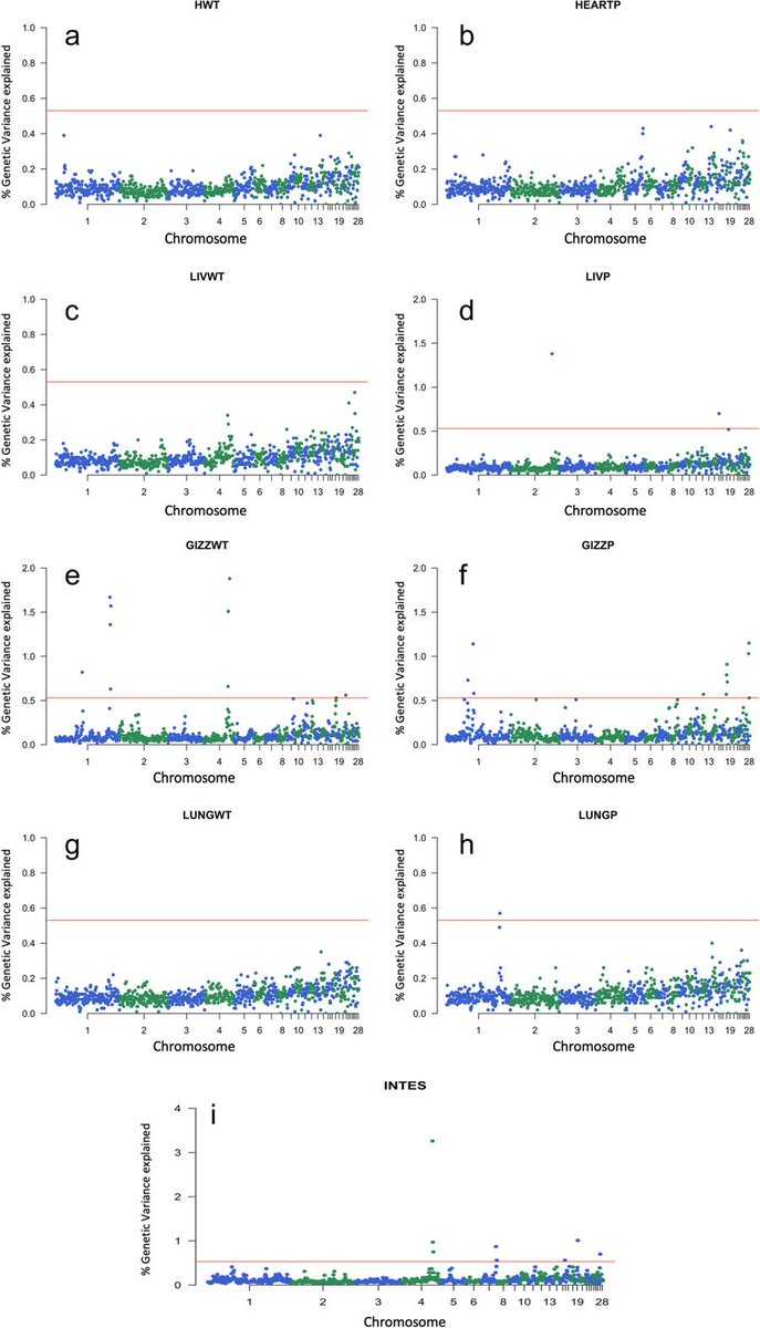 ensembl's tweet photo. #GWAS of internal organ traits in #chicken identifies 14 candidate genes
#BioMart #VEP #CitedEnsembl @BMC_series https://t.co/eNPfVr8Vrq
#QTL #poultrybreeding https://t.co/pX8Z4PuVne