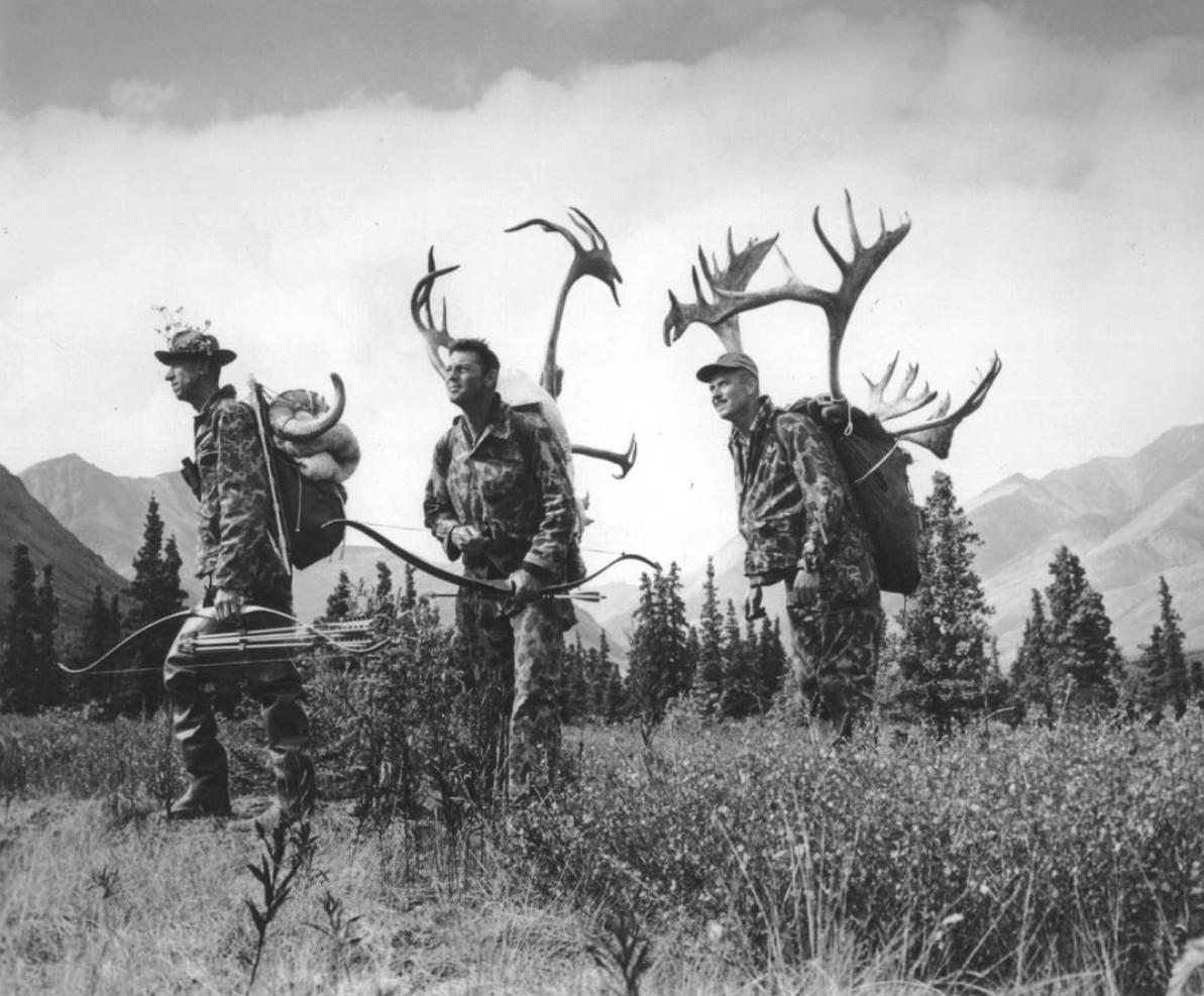 buckdoestx's tweet photo. We are pumped up for bow season!  Come check out our great lineup of @BearArchery recurves available today. Comment below where you are going hunting this year.

#bowhunting #archery https://t.co/R5ElAackmU